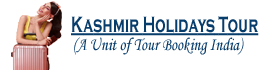 Best Travel Agent in Srinagar